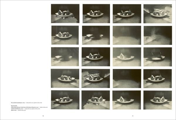 Book cover of Trying To Make It Real Part 1 & 2: Bruno V. Roels, with a palm tree. Published by Hopper&Fuchs.