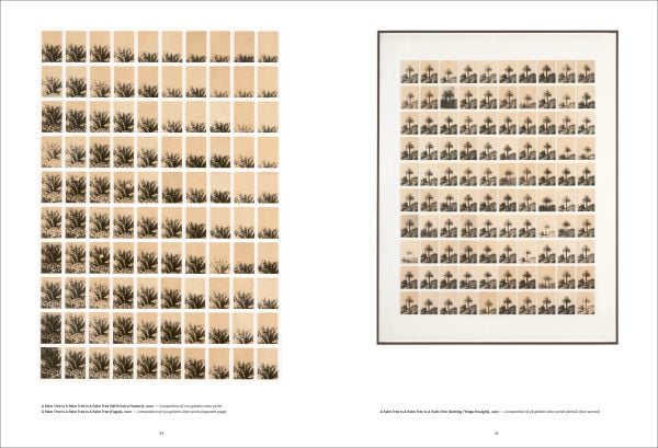 Book cover of Trying To Make It Real Part 1 & 2: Bruno V. Roels, with a palm tree. Published by Hopper&Fuchs.