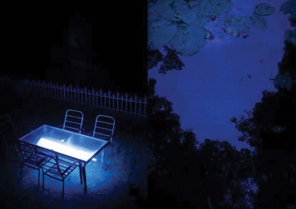 Book cover of Summer Blue - Sur La Terre Qui Est Un Astre: Peter H. Waterschoot. Published by Hopper&Fuchs.