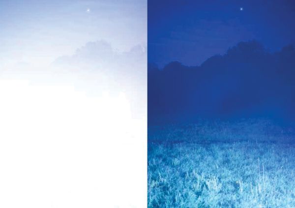 Book cover of Summer Blue - Sur La Terre Qui Est Un Astre: Peter H. Waterschoot. Published by Hopper&Fuchs.