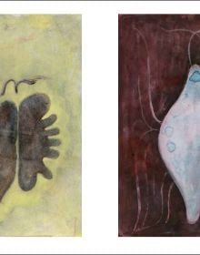 the bear and the butterfly