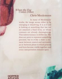 Book cover of When the Fog Comes Down: Chris Meulemans. Published by HOPPER&FUCHS.