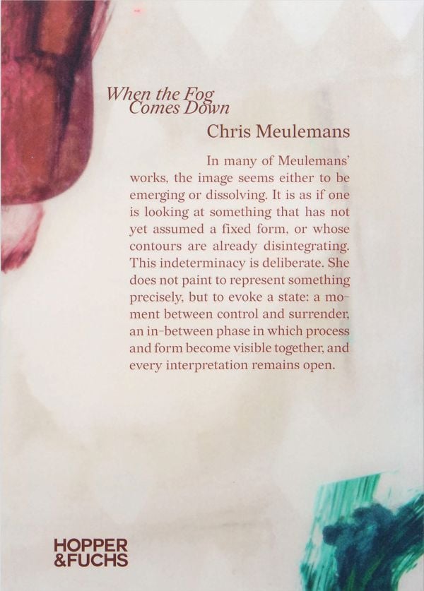 Book cover of When the Fog Comes Down: Chris Meulemans. Published by HOPPER&FUCHS.