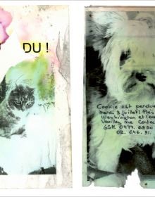 Book cover of Please Look in the Basement, with a sketch of a fox terrier dog. Published by Hopper&Fuchs.