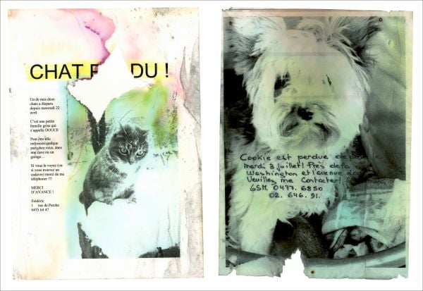 Book cover of Please Look in the Basement, with a sketch of a fox terrier dog. Published by Hopper&Fuchs.