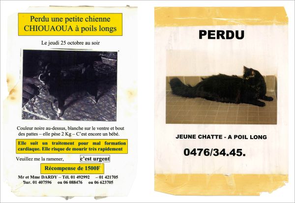 Book cover of Please Look in the Basement, with a sketch of a fox terrier dog. Published by Hopper&Fuchs.