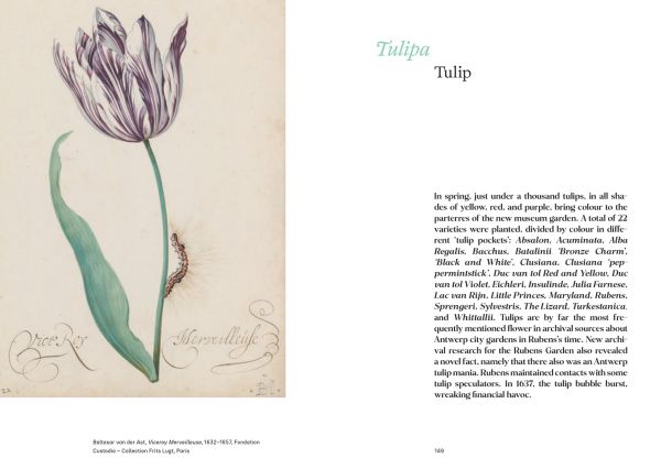 Book cover of The Rubens Garden: A Masterpiece in Bloom, featuring a painting of a floral garden. Published by Hannibal Books.