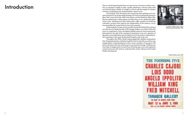 Book cover of Lois Dodd: Framing the Ephemeral; featuring a painting of an orange sheet on a washing line. Published by Hannibal Books.