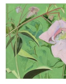 Lois Dodd