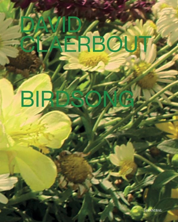 Book cover of Birdsong; featuring yellow daisy-like flowers. Published by Hannibal Books.