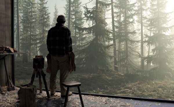 Book cover of Birdsong; featuring yellow daisy-like flowers. Published by Hannibal Books.