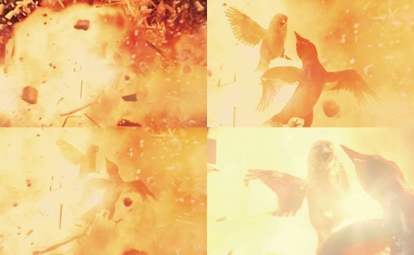 Book cover of Birdsong; featuring yellow daisy-like flowers. Published by Hannibal Books.