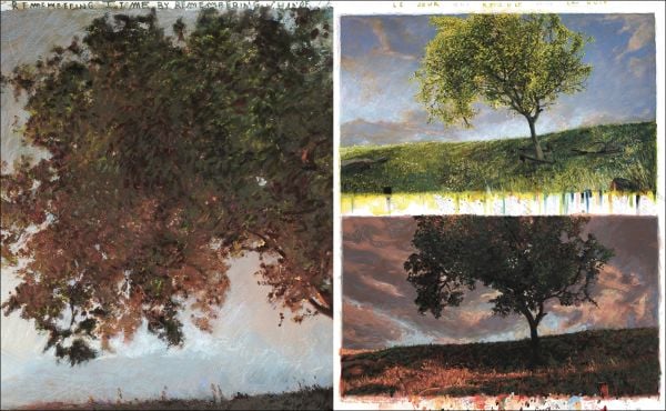 Book cover of Birdsong; featuring yellow daisy-like flowers. Published by Hannibal Books.