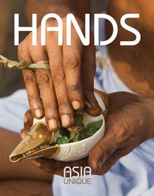 Book cover of Hands, Asia Unique, featuring the hands of Asian male holding white and gold shell, stuffed with green leaves tied together. Published by Visionary World.