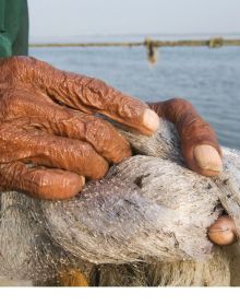 Book cover of Hands, Asia Unique, featuring the hands of Asian male holding white and gold shell, stuffed with green leaves tied together. Published by Visionary World.