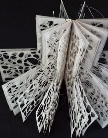 Book cover of Paper Art II, with fragile paper sculpture. Published by Artpower International.