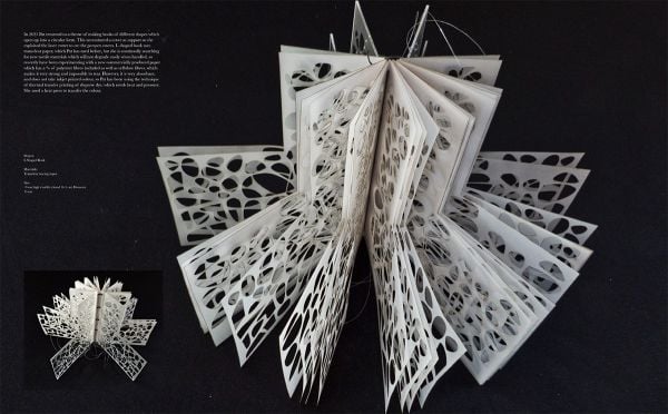 Book cover of Paper Art II, with fragile paper sculpture. Published by Artpower International.