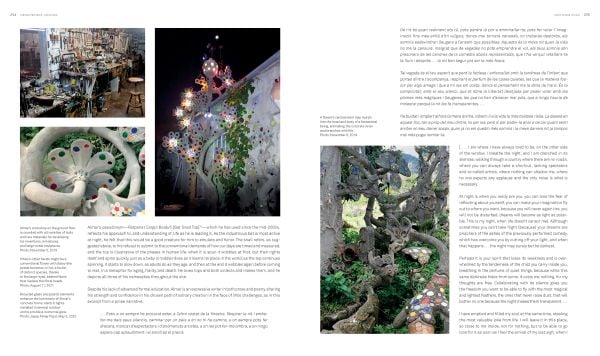 Book cover of Jo Farb Hernández's Singular Spaces II, From the Eccentric to the Extraordinary in Spanish Art Environments, featuring a mosaic dragon land art sculpture. Published by 5 Continents Editions.