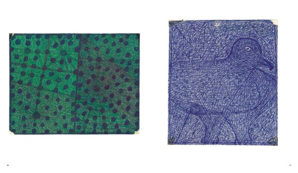 Book cover of Jaime Fernandes, with a pen drawing of an animal. Published by 5 Continents Editions.