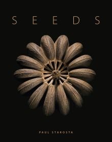 Book cover of Seeds: Time Capsules of Life, with a macro photo of seed case. Published by Papadakis.