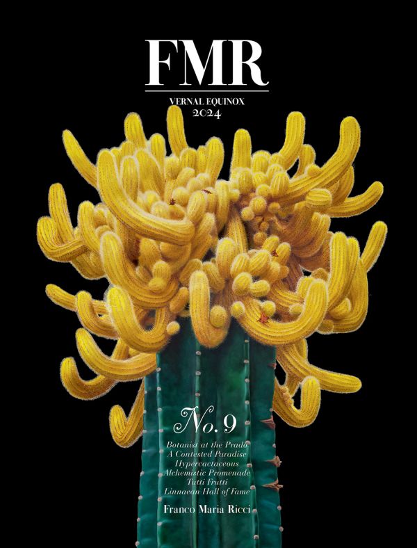Book cover of FMR No. 9: Vernal Equinox 2024, with a hyper-realistic painting of a cacti with mass of yellow heads. Published by Franco Maria Ricci editore.