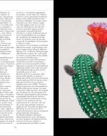 Book cover of FMR No. 9: Vernal Equinox 2024, with a hyper-realistic painting of a cacti with mass of yellow heads. Published by Franco Maria Ricci editore.