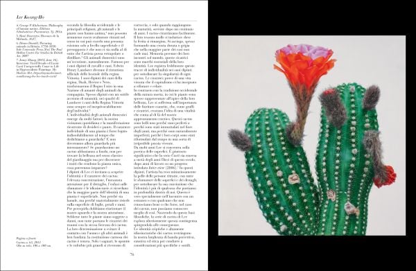 Book cover of FMR No. 9: Vernal Equinox 2024, with a hyper-realistic painting of a cacti with mass of yellow heads. Published by Franco Maria Ricci editore.