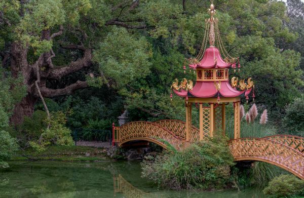 Book cover of FMR No. 9: Vernal Equinox 2024, with a hyper-realistic painting of a cacti with mass of yellow heads. Published by Franco Maria Ricci editore.