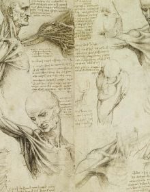 Book cover of Leonardo da Vinci Atlas Anatomicus: The Royal Collection of Windsor; featuring anatomical drawings. Published by Scripta Maneant Editori.