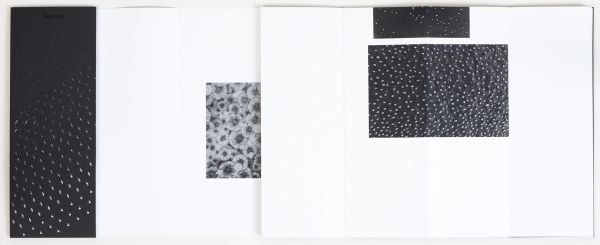 Book cover of Kathleen Alisch's Atlas of Voids. Published by L'Artiere.