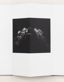Book cover of Kathleen Alisch's Atlas of Voids. Published by L'Artiere.