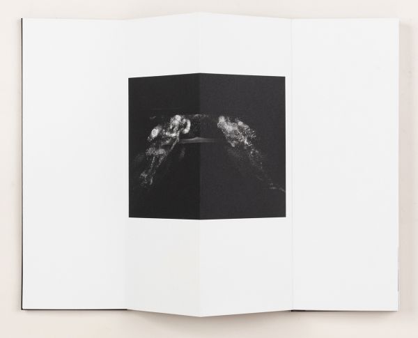 Book cover of Kathleen Alisch's Atlas of Voids. Published by L'Artiere.