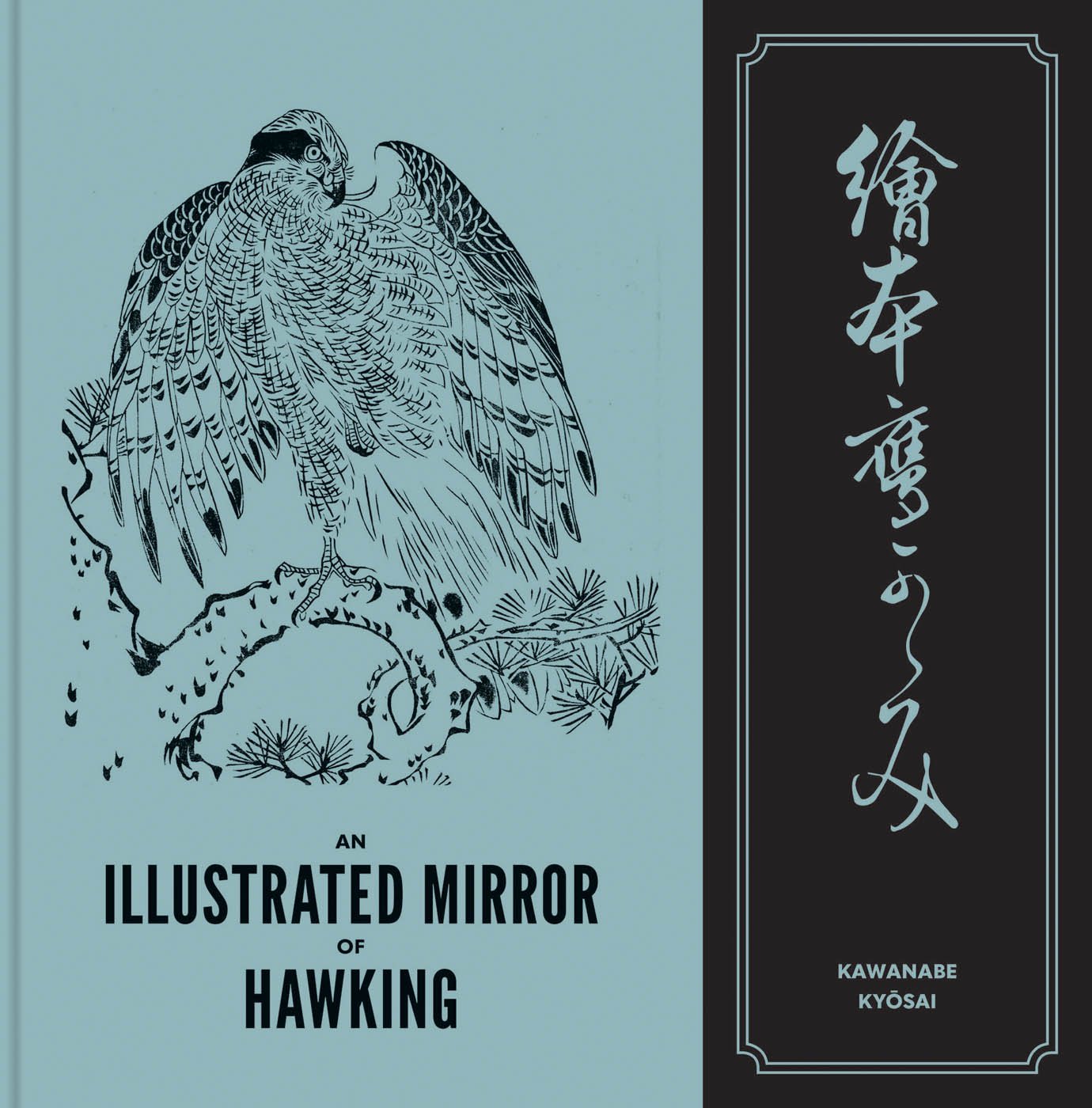 An Illustrated Mirror of Hawking - ACC Art Books US